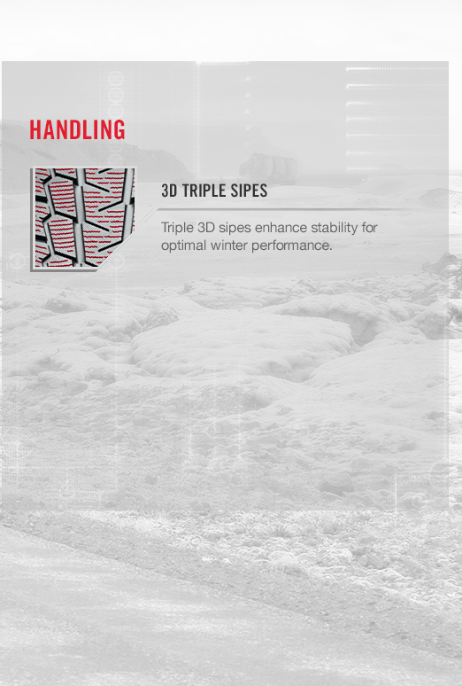 IG53 Iceguard Tires | Winter